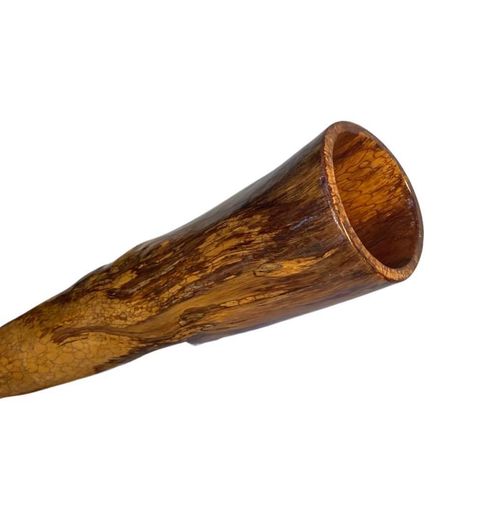 SOLD snake skin didgeridoo F#/F#
