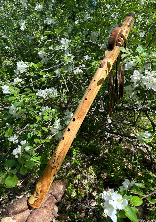 Red Jasper Bass C