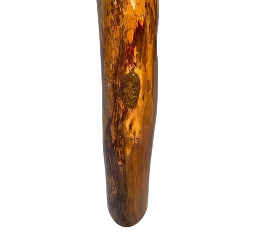 SOLD    snake skin didgeridoo F#/F#
